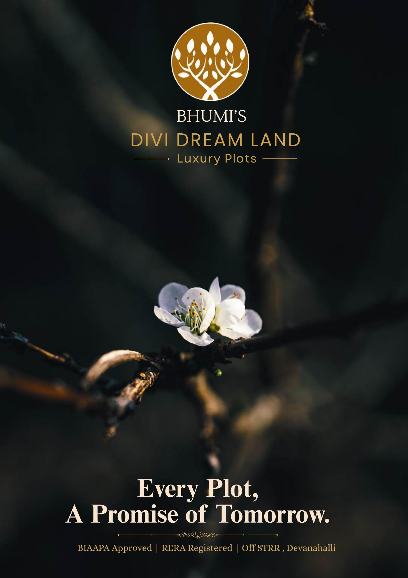 Divi Dream Land brochure cover