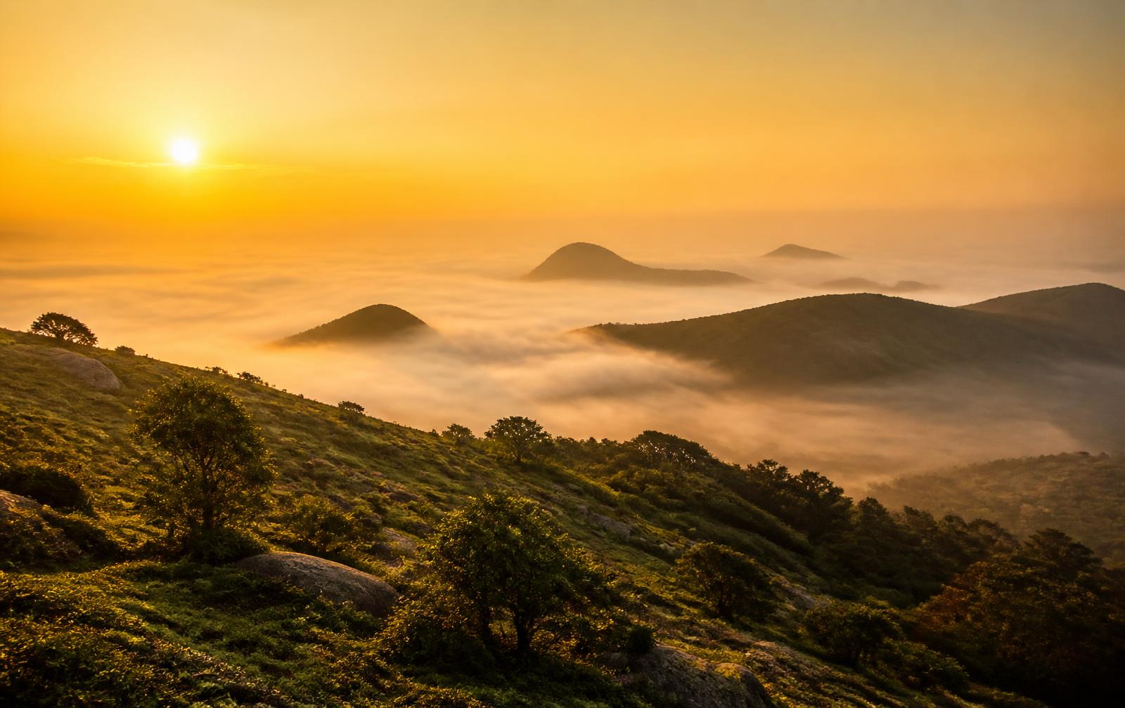 Nandi Hills, Karnataka, at sunrise above a sea of golden mist